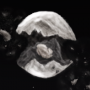 shattered_moon.png